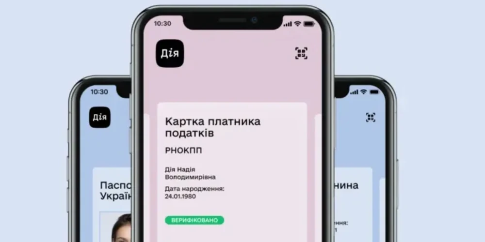 Інтерфейс системи «е-Консул» із формою заяви на отримання податкового номера