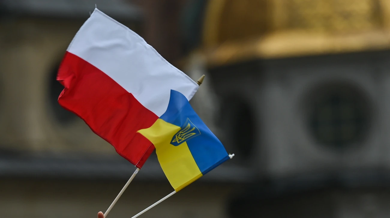 Концепт міграційної політики партії «Право і справедливість» та опитування IBRiS