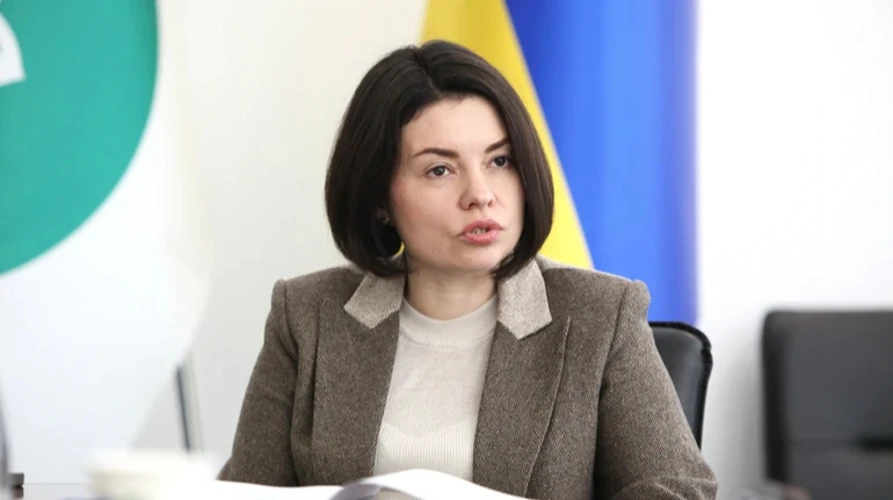 Леся Карнаух, колишня виконувачка обов'язків голови Державної податкової служби